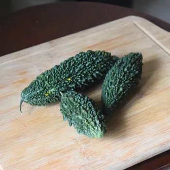 Bitter gourd (50)-2380580-82552.webp